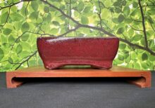 6 inch Ceramic Pot - Red