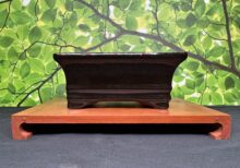 6 Inch Ceramic Pot - Black