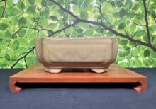 6 Inch Ceramic Pot - Carmel