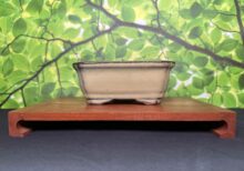 5 Inch Ceramic Pot - Carmel