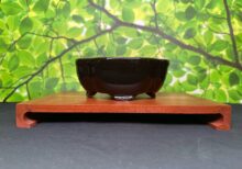 5 Inch Ceramic Lotus Pot - Black