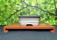 5 Inch Ceramic Pot - Beige