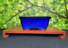 5 Inch Ceramic Pot - Bright blue